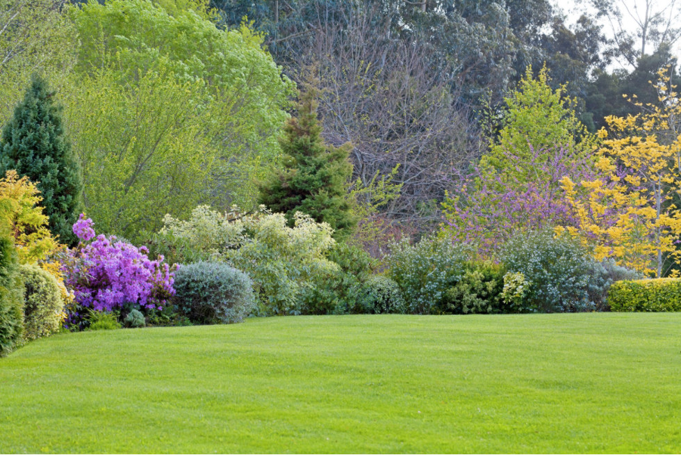 Everwood Garden Everwood Garden