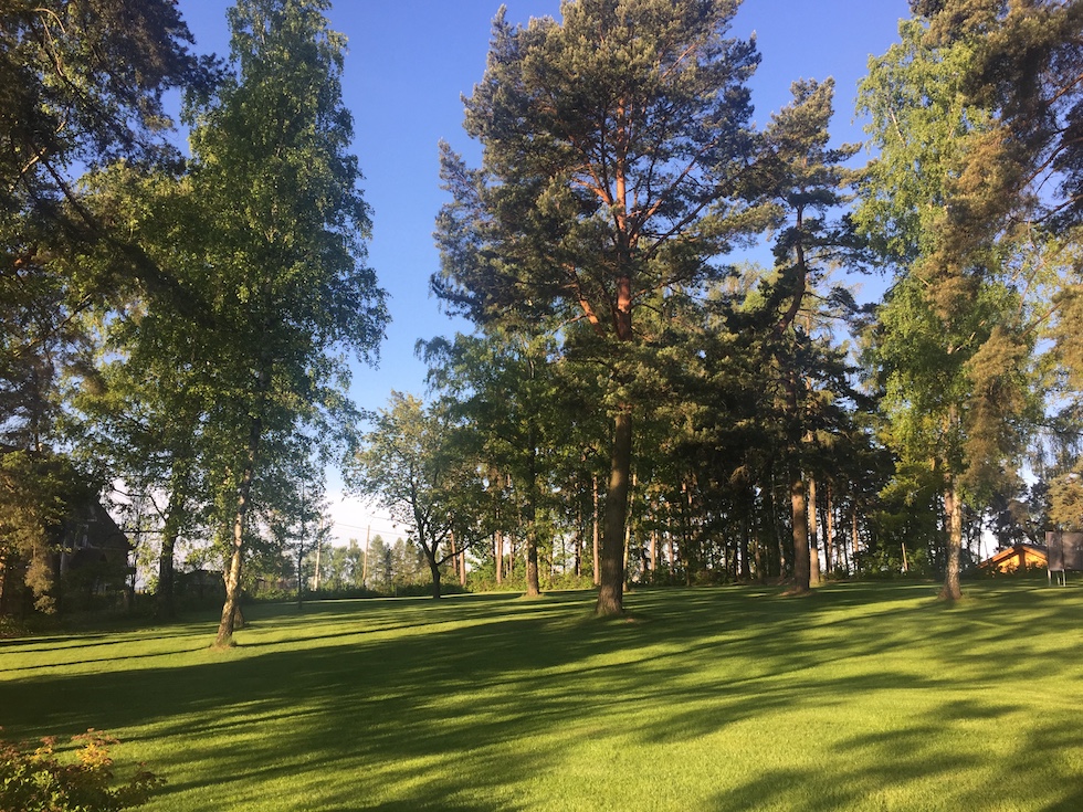 Everwood Garden Everwood Garden
