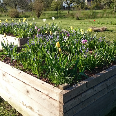 Everwood Garden - Fotogalerie Everwood Garden - Fotogalerie